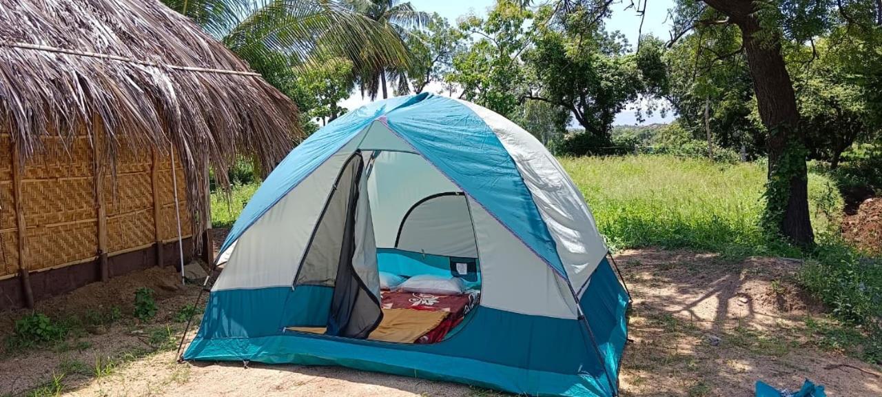Banana Tree Home Stay Hampi Zewnętrze zdjęcie