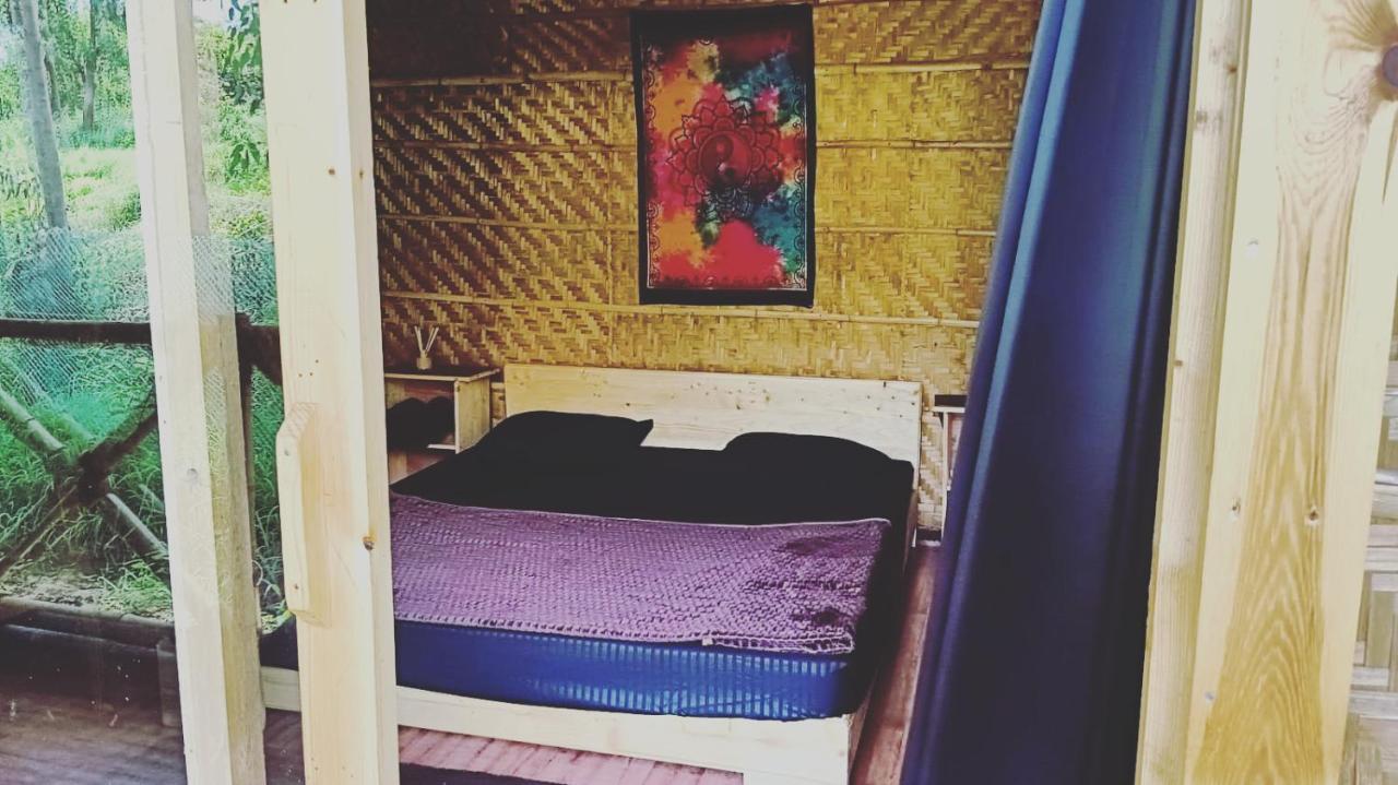 Banana Tree Home Stay Hampi Zewnętrze zdjęcie