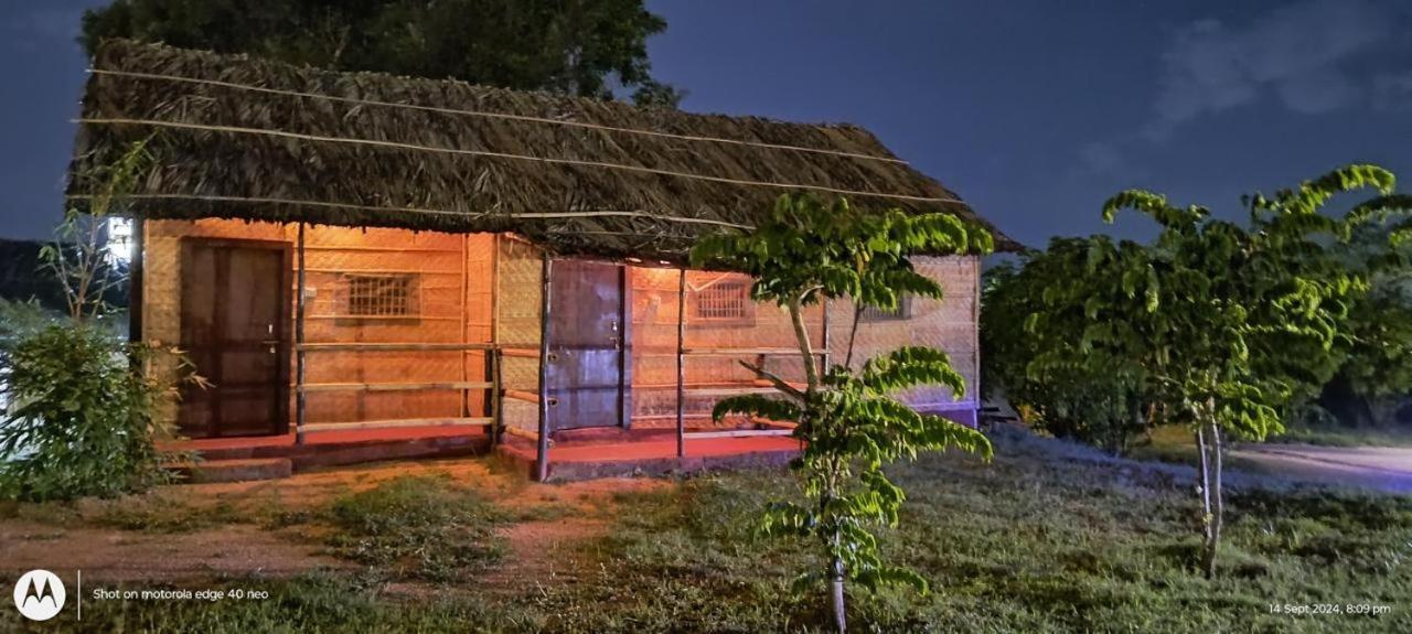 Banana Tree Home Stay Hampi Zewnętrze zdjęcie