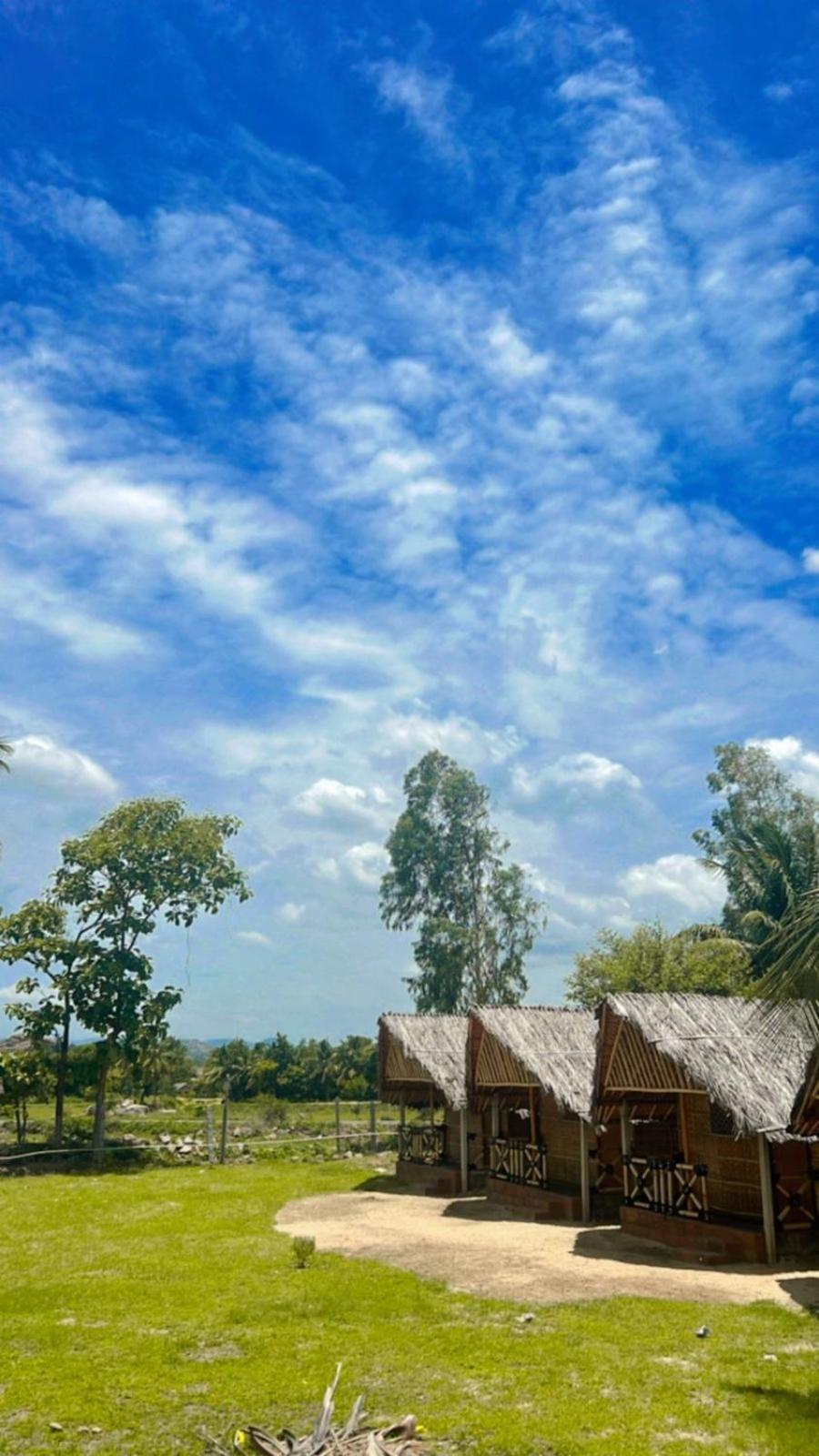 Banana Tree Home Stay Hampi Zewnętrze zdjęcie